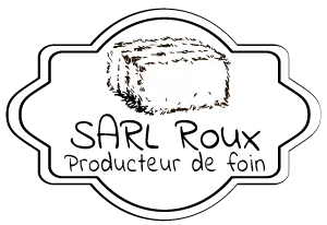 logofooter